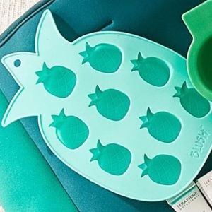 NWT Blush Pineapple Shaped Ice Mold